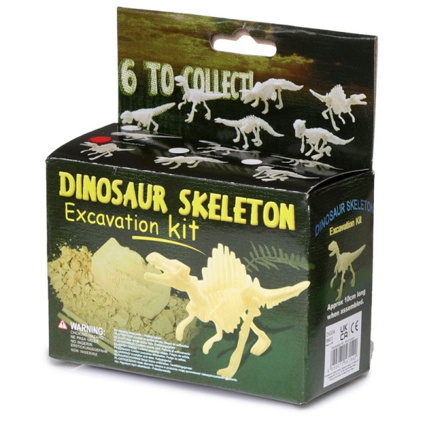 Roost Ausgrabungs-Set Dinosaurier Skelett