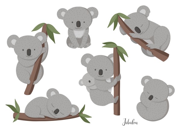 Jabalou wasserfeste Sticker Koala, DIN A6