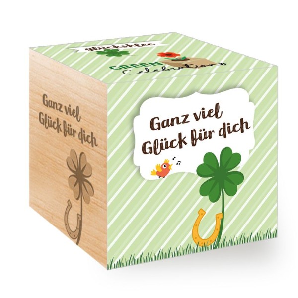 feel green Green Celebrations - Glücksklee, Oxalis deppei