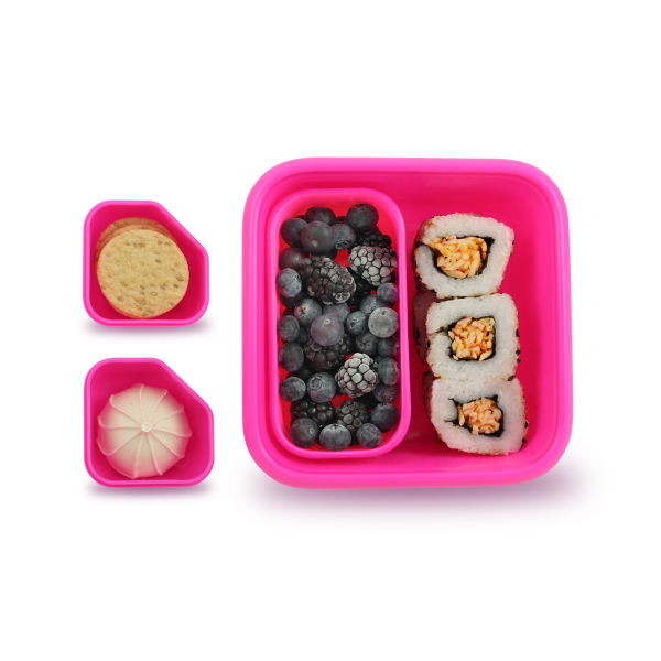 Goodbyn Portions On-the-Go, Pink